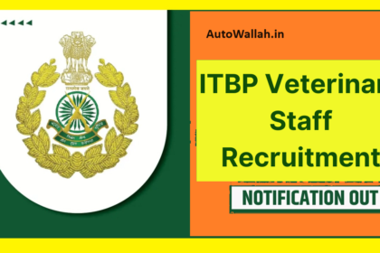 ITBP Requirements Veterinary Staff Recruitment 2024, 128 Vacancies, Eligibility, Apply Online